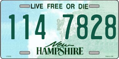 NH license plate 1147828