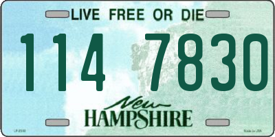 NH license plate 1147830