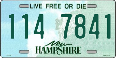 NH license plate 1147841