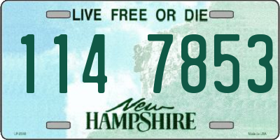 NH license plate 1147853