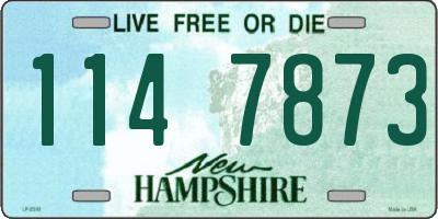 NH license plate 1147873