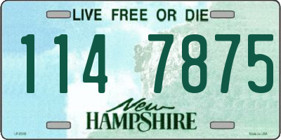 NH license plate 1147875