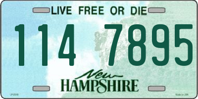 NH license plate 1147895