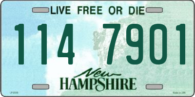 NH license plate 1147901