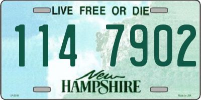 NH license plate 1147902