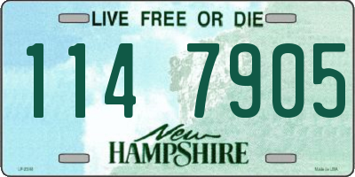 NH license plate 1147905