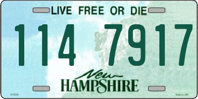 NH license plate 1147917