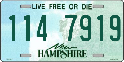 NH license plate 1147919