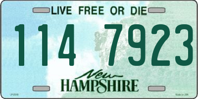 NH license plate 1147923