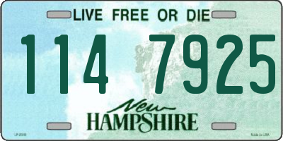 NH license plate 1147925
