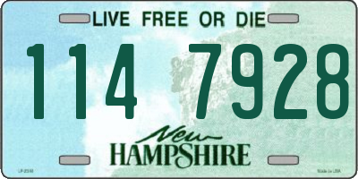NH license plate 1147928
