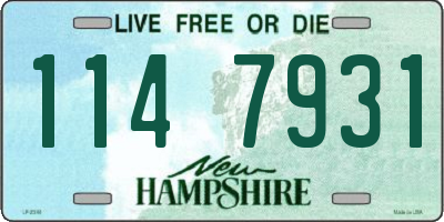 NH license plate 1147931