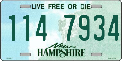 NH license plate 1147934
