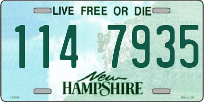 NH license plate 1147935
