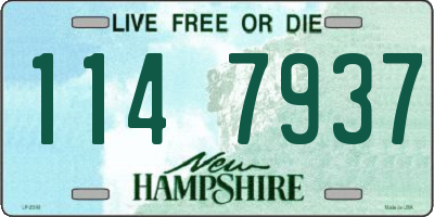 NH license plate 1147937