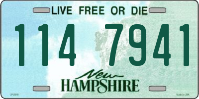NH license plate 1147941