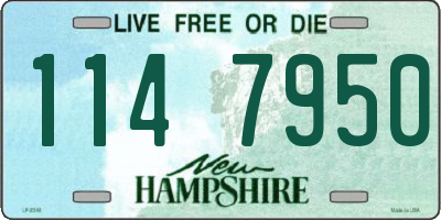 NH license plate 1147950