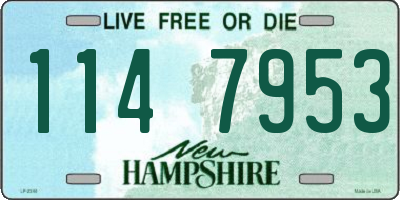 NH license plate 1147953