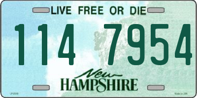 NH license plate 1147954