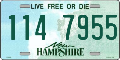 NH license plate 1147955