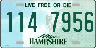 NH license plate 1147956
