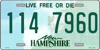 NH license plate 1147960