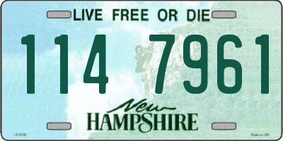 NH license plate 1147961