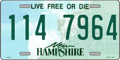 NH license plate 1147964
