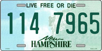 NH license plate 1147965