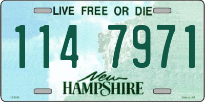 NH license plate 1147971