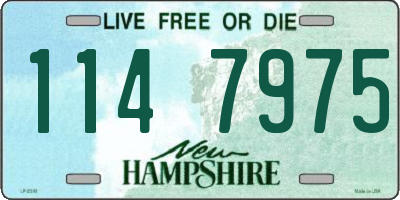 NH license plate 1147975
