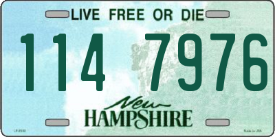 NH license plate 1147976