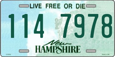 NH license plate 1147978
