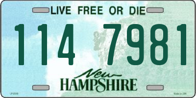 NH license plate 1147981