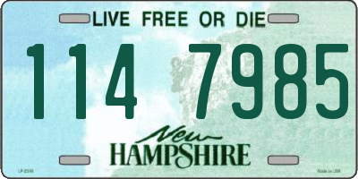 NH license plate 1147985