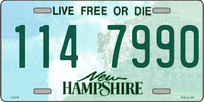NH license plate 1147990