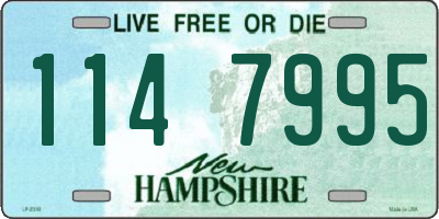NH license plate 1147995