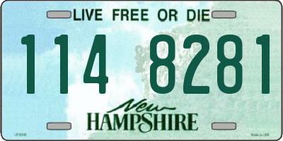 NH license plate 1148281