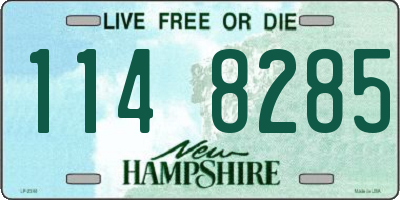 NH license plate 1148285