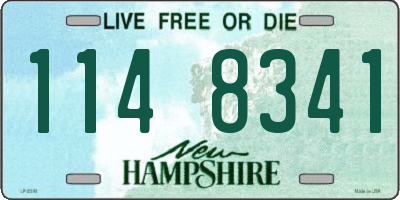 NH license plate 1148341