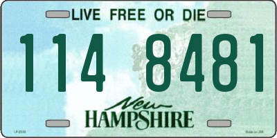 NH license plate 1148481