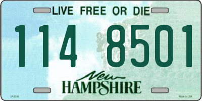 NH license plate 1148501
