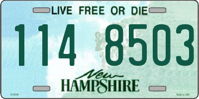 NH license plate 1148503