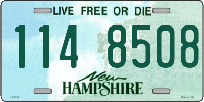 NH license plate 1148508