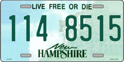 NH license plate 1148515