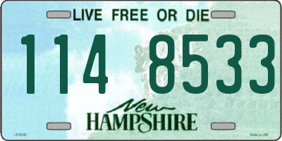 NH license plate 1148533
