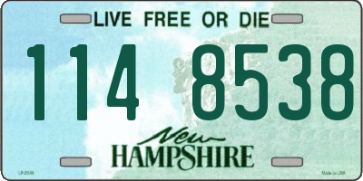 NH license plate 1148538
