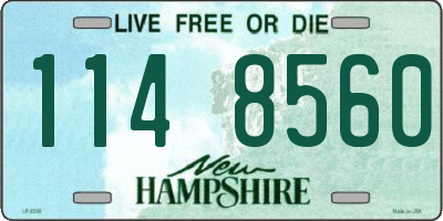 NH license plate 1148560