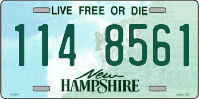 NH license plate 1148561