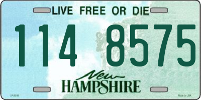 NH license plate 1148575